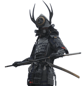 Samurai waist crop vancouver seo agency