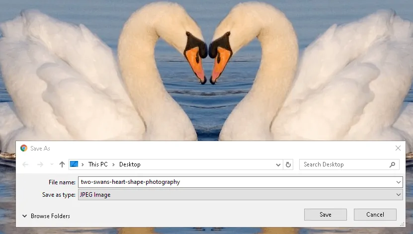 Optimized swan file name