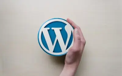 5 WordPress Maintenance Plugins You Should Have