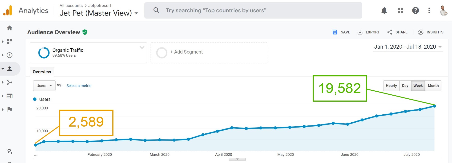 Jet pet resort organic traffic after