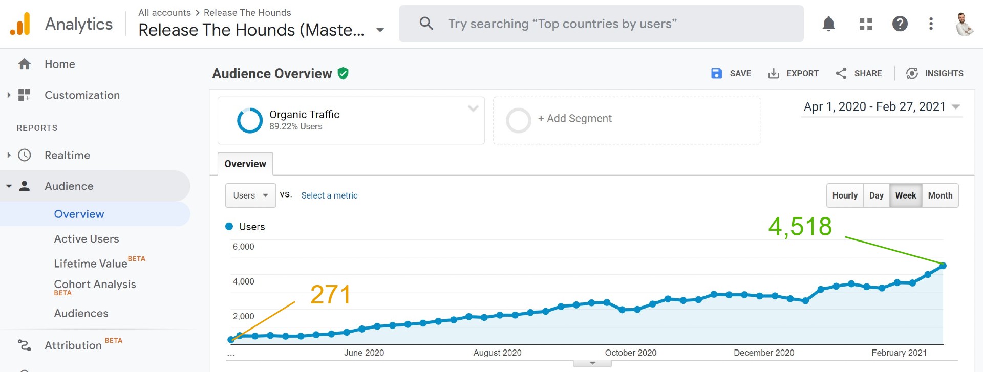 Jet pet resort organic traffic after